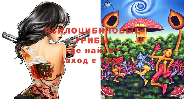 ПСИЛОЦИБИНОВЫЕ ГРИБЫ Алзамай