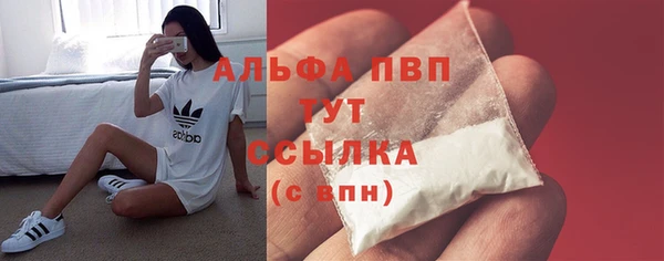 индика Нефтекумск